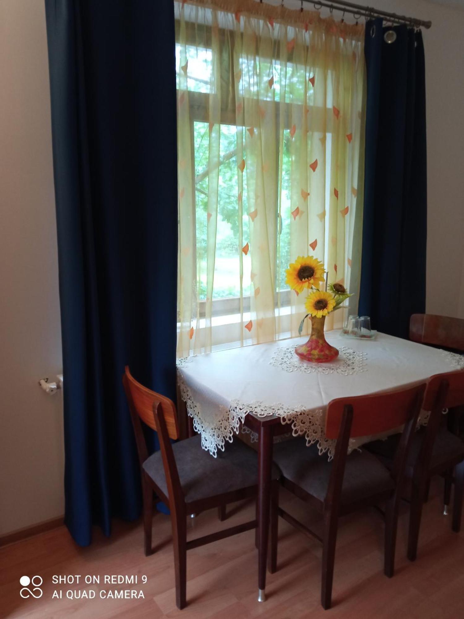 Pensiunea Dodo Patarlagele Room photo