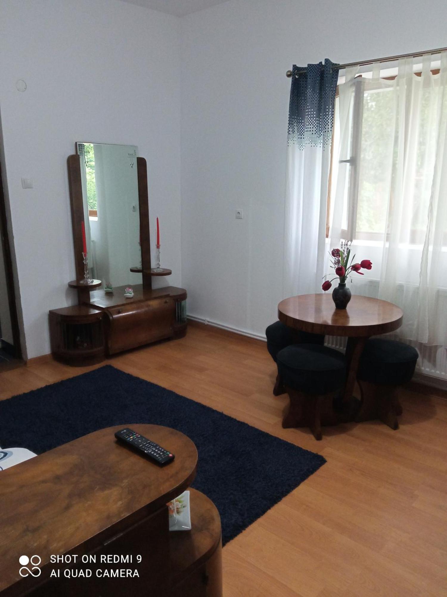 Pensiunea Dodo Patarlagele Room photo
