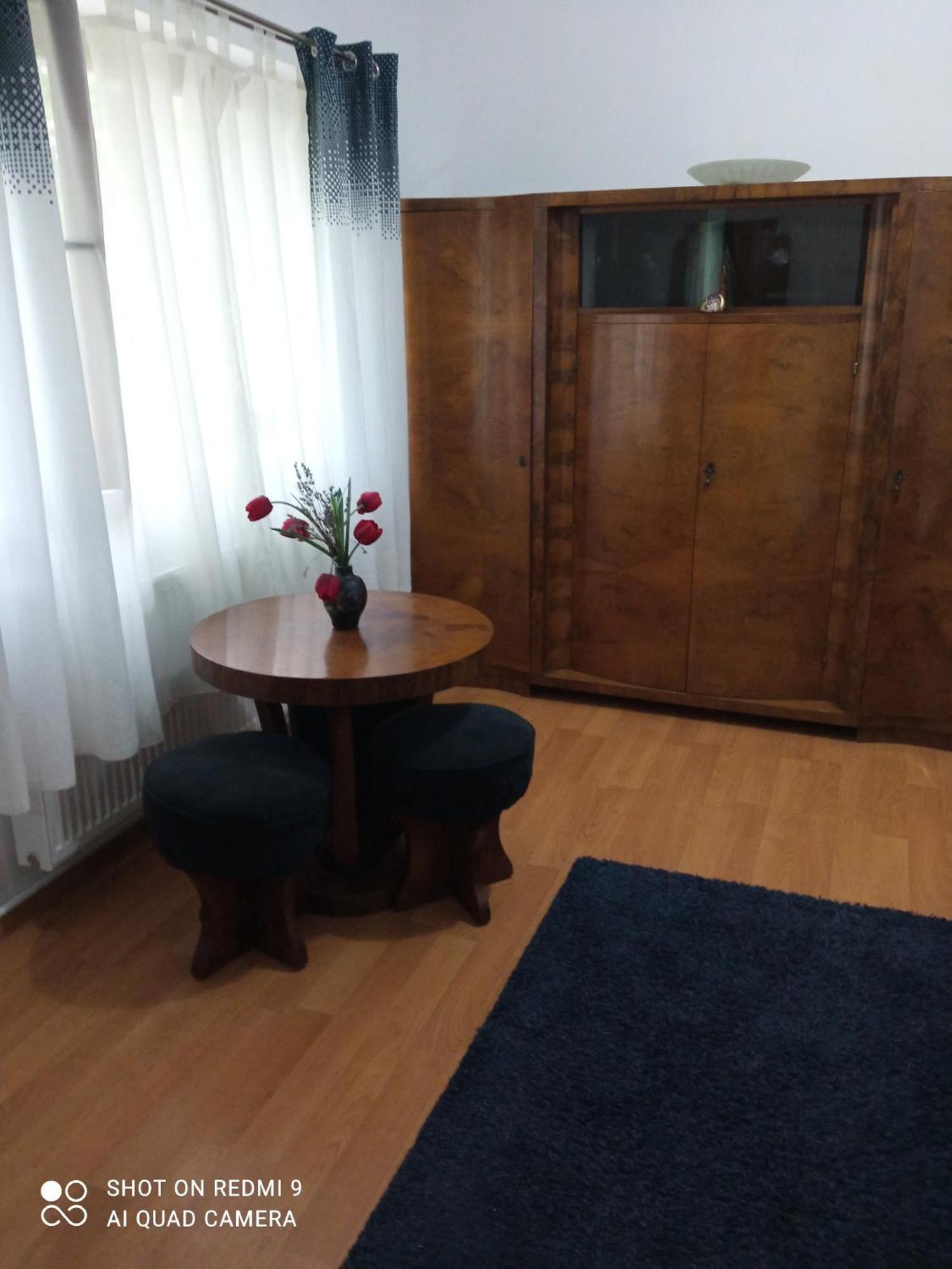 Pensiunea Dodo Patarlagele Room photo